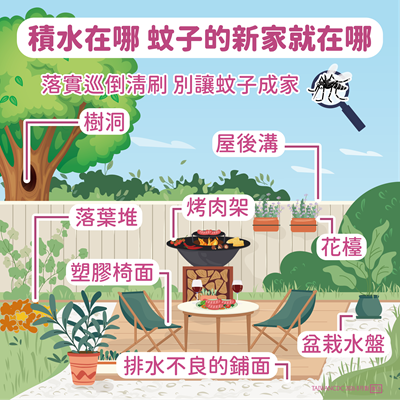 積水在哪 蚊子的新家就在哪